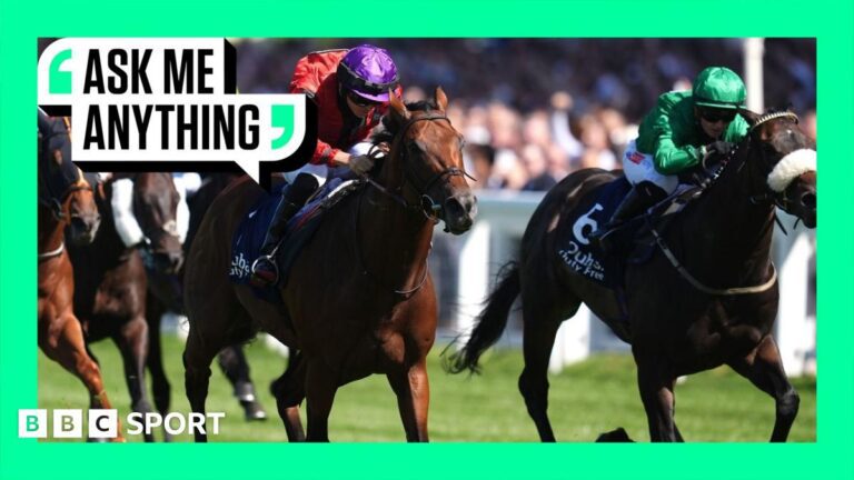 Horse racing strike: British racing in protest over proposed betting tax rise