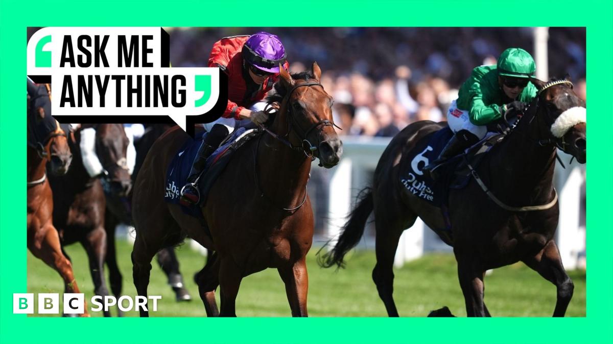 Horse racing strike: British racing in protest over proposed betting tax rise