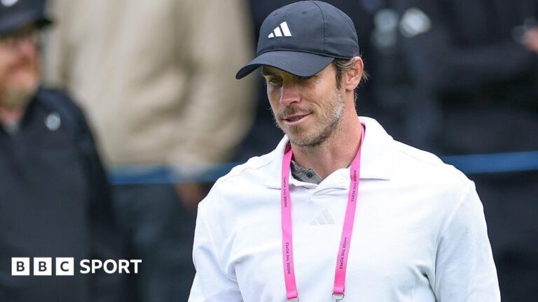 Gareth Bale would have loved to play for Wales boss Craig Bellamy