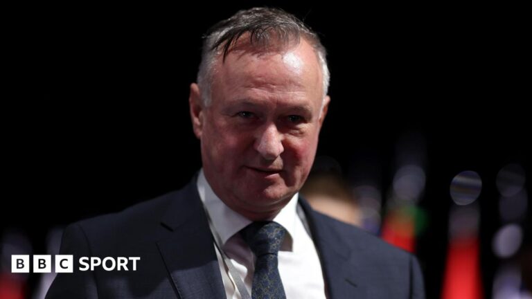 Michael O’Neill: Northern Ireland manager to join Blackburn Rovers