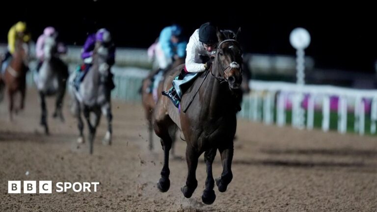 Constitution Hill: Former Champion Hurdle winner shines on switch to Flat