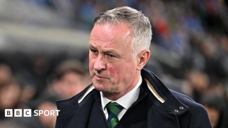 Wales 1-1 Northern Ireland: We showed great ‘character’ in draw – Michael O’Neill